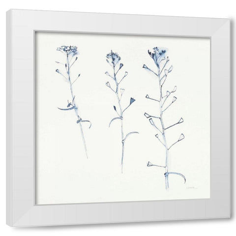 Shepherds Purse Stems I Blue White Modern Wood Framed Art Print by Novak, Shirley