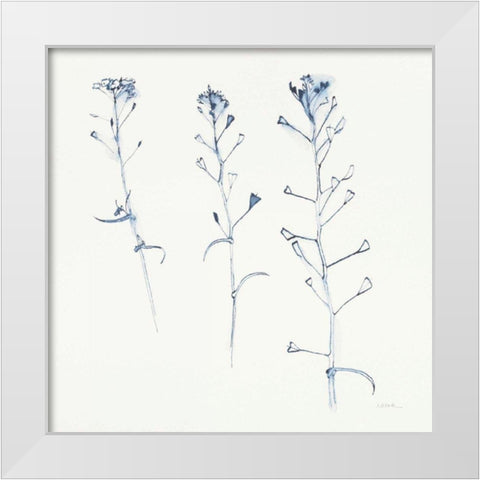 Shepherds Purse Stems I Blue White Modern Wood Framed Art Print by Novak, Shirley