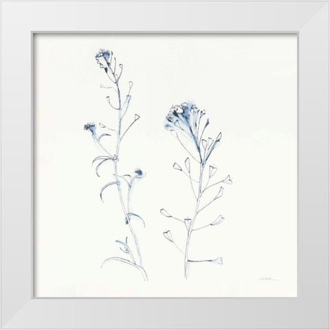 Shepherds Purse Stems II Blue White Modern Wood Framed Art Print by Novak, Shirley