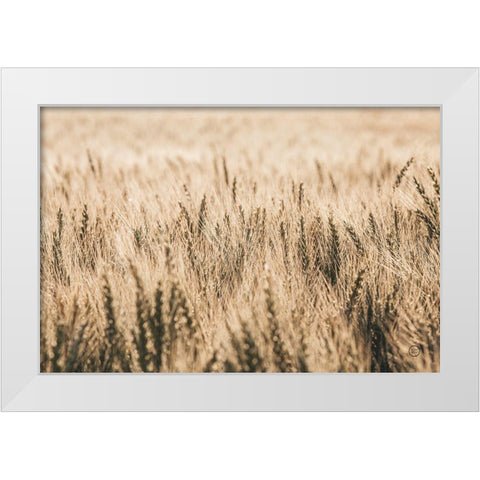 Dakota Wheat Fields White Modern Wood Framed Art Print by Larson, Nathan