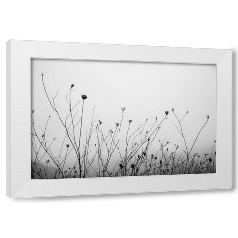 Autumn Grasses White Modern Wood Framed Art Print by Aledanda