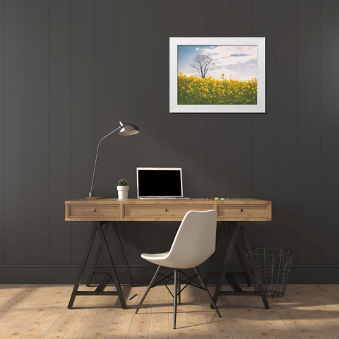 Spring Meadow White Modern Wood Framed Art Print by Aledanda