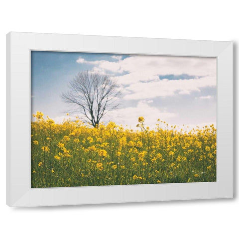 Spring Meadow White Modern Wood Framed Art Print by Aledanda