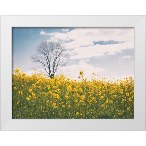 Spring Meadow White Modern Wood Framed Art Print by Aledanda