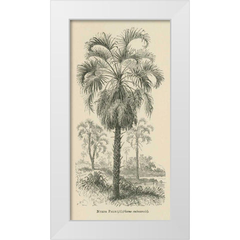 Creators Wonders Book Palm White Modern Wood Framed Art Print by Wild Apple Portfolio