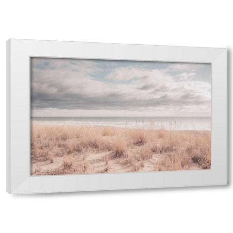 Soft Oceans White Modern Wood Framed Art Print by Larson, Nathan
