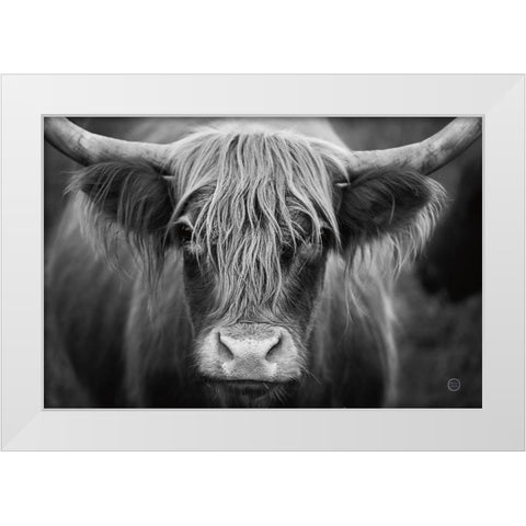 Cow Nose BW White Modern Wood Framed Art Print by Larson, Nathan