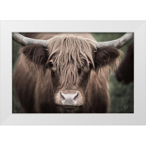 Cow Nose Light White Modern Wood Framed Art Print by Larson, Nathan