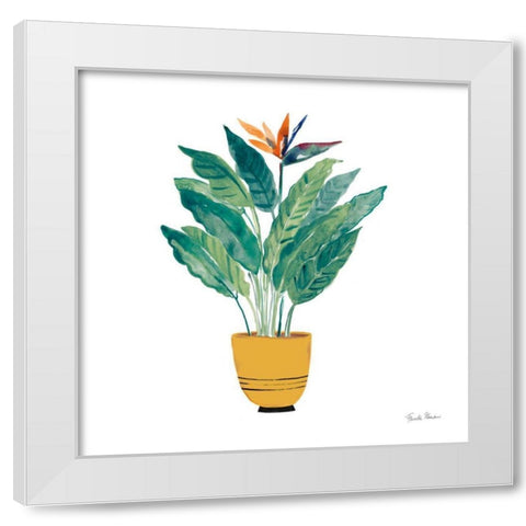 Potted Jewels III White Modern Wood Framed Art Print by Zaman, Farida
