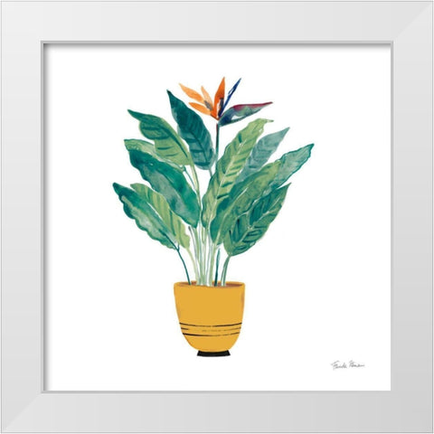 Potted Jewels III White Modern Wood Framed Art Print by Zaman, Farida