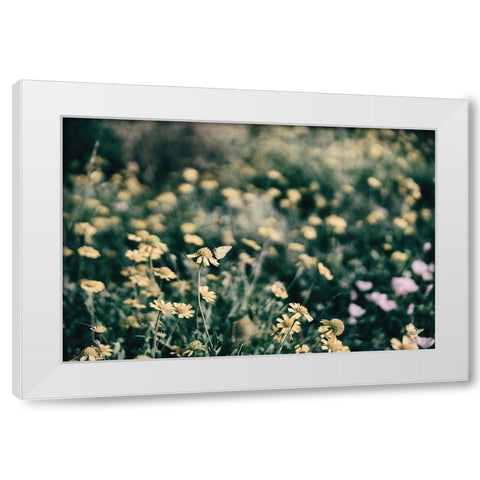 Field Friends Fade White Modern Wood Framed Art Print by Larson, Nathan