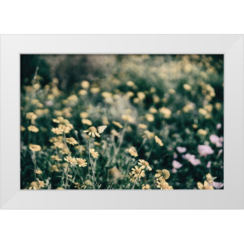 Field Friends Fade White Modern Wood Framed Art Print by Larson, Nathan