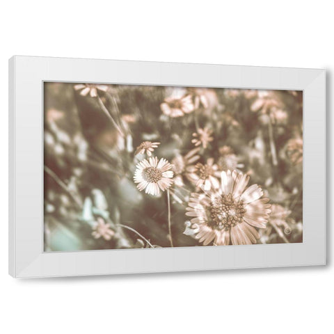 Flower Power White Modern Wood Framed Art Print by Larson, Nathan