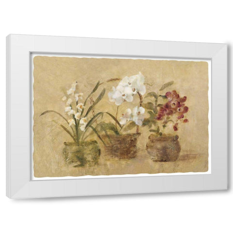Collection of Orchids-48x35.5 White Modern Wood Framed Art Print by Blum, Cheri