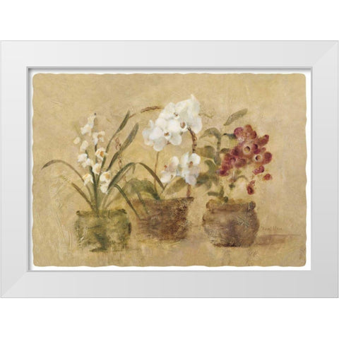 Collection of Orchids-48x35.5 White Modern Wood Framed Art Print by Blum, Cheri