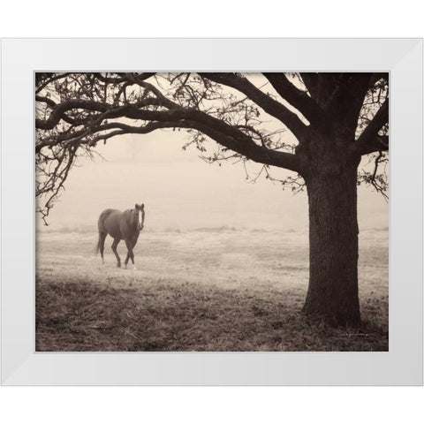 Hazy Horse I White Modern Wood Framed Art Print by Van Swearingen, Debra