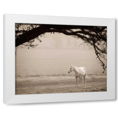 Hazy Horse II White Modern Wood Framed Art Print by Van Swearingen, Debra