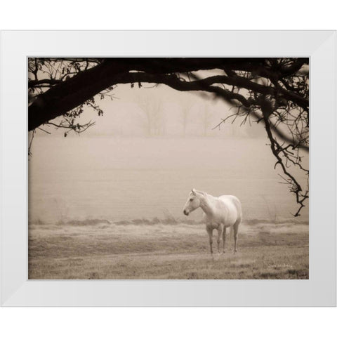Hazy Horse II White Modern Wood Framed Art Print by Van Swearingen, Debra