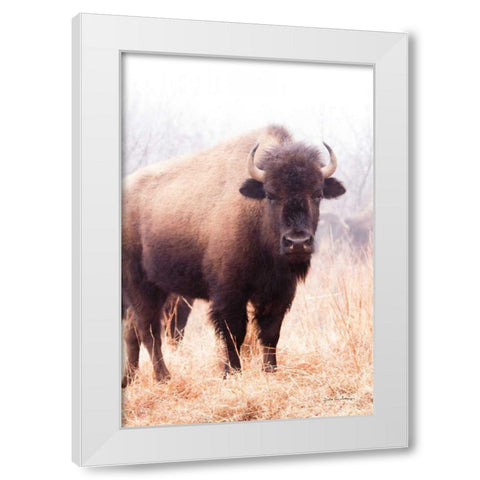 American Bison V White Modern Wood Framed Art Print by Van Swearingen, Debra