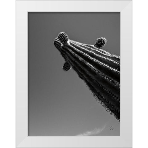 King II White Modern Wood Framed Art Print by Larson, Nathan