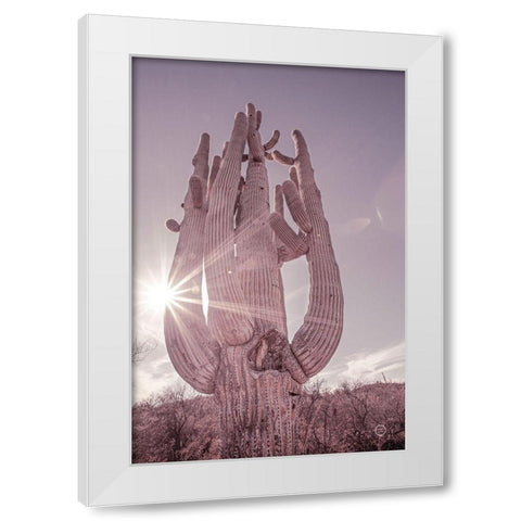 Dusty Desert Saguaro White Modern Wood Framed Art Print by Larson, Nathan