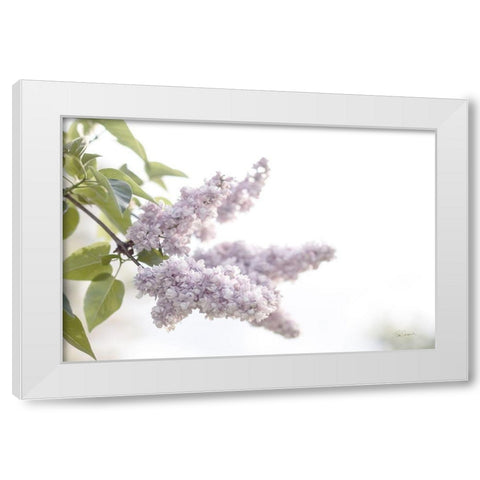 Pale Lilacs I White Modern Wood Framed Art Print by Schlabach, Sue