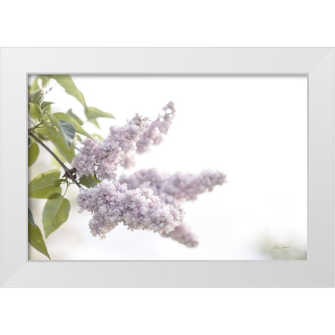 Pale Lilacs I White Modern Wood Framed Art Print by Schlabach, Sue