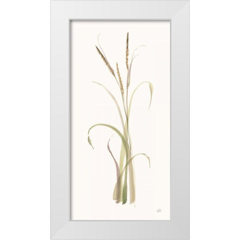 Lyme Grass White Modern Wood Framed Art Print by Paschke, Chris