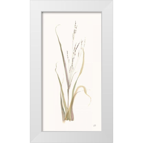 Moor Grass White Modern Wood Framed Art Print by Paschke, Chris