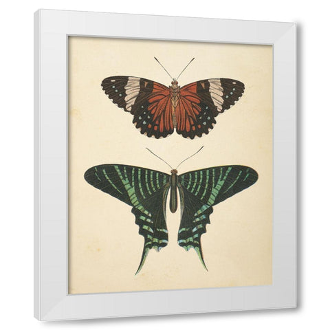 Papillons I White Modern Wood Framed Art Print by Wild Apple Portfolio