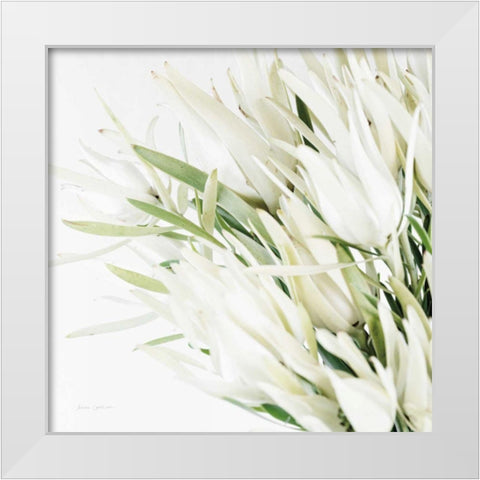 Leucadendron Oasis Crop White Modern Wood Framed Art Print by Catterall, Elise