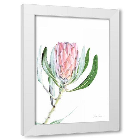 Dreamy Protea II Oasis White Modern Wood Framed Art Print by Catterall, Elise