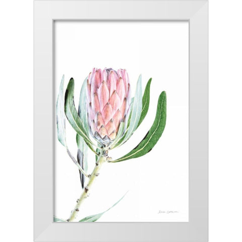 Dreamy Protea II Oasis White Modern Wood Framed Art Print by Catterall, Elise