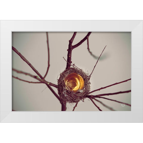 What is Golden White Modern Wood Framed Art Print by Larson, Nathan