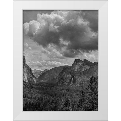 Scenic Landscape III BW Crop II White Modern Wood Framed Art Print by Eichman, Andre