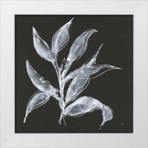 Branch III White Modern Wood Framed Art Print by Paschke, Chris