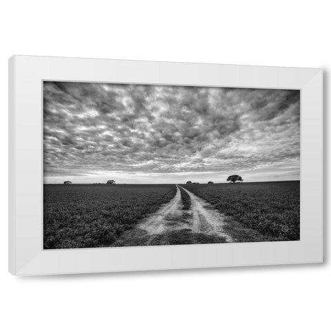 Farm Road White Modern Wood Framed Art Print by Larson, Nathan