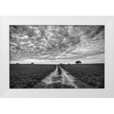 Farm Road White Modern Wood Framed Art Print by Larson, Nathan