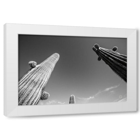 Three Kings White Modern Wood Framed Art Print by Larson, Nathan