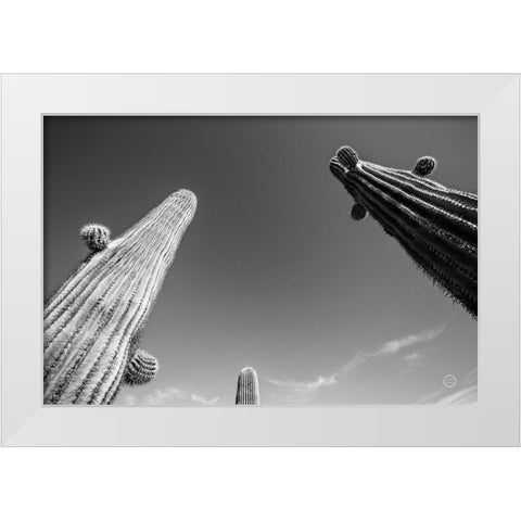 Three Kings White Modern Wood Framed Art Print by Larson, Nathan