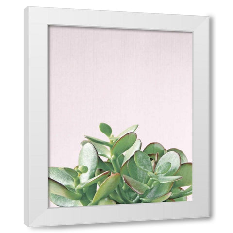 Succulent Simplicity Soft III Crop White Modern Wood Framed Art Print by Bradley, Felicity
