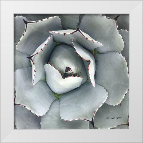Cactus Verde I White Modern Wood Framed Art Print by Goldstein, Ed