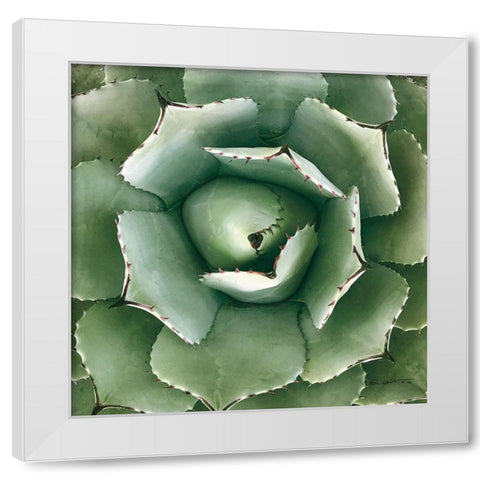 Cactus Verde II Green White Modern Wood Framed Art Print by Goldstein, Ed