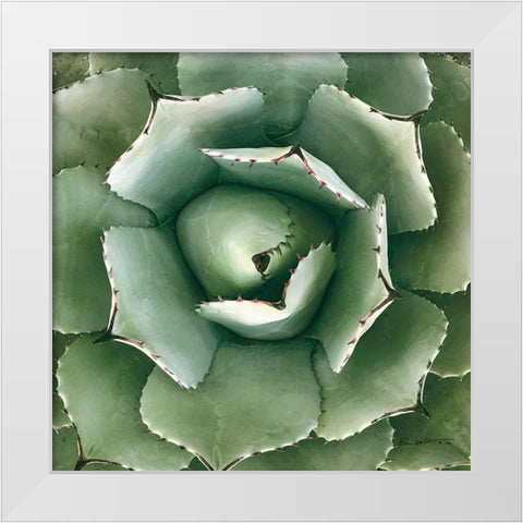 Cactus Verde II Green White Modern Wood Framed Art Print by Goldstein, Ed