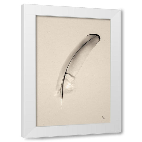 Floating Feathers III Sepia White Modern Wood Framed Art Print by Larson, Nathan