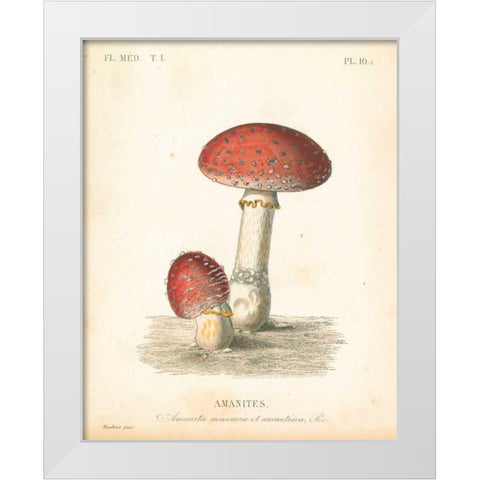 French Mushrooms III White Modern Wood Framed Art Print by Wild Apple Portfolio