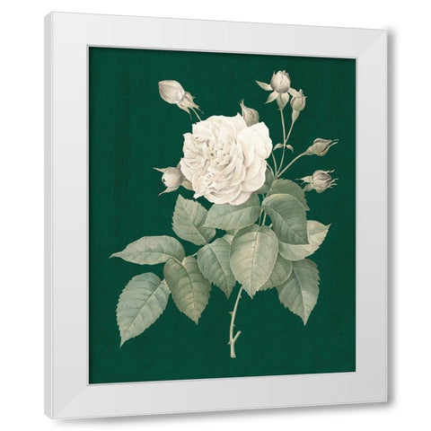 White Roses on Green I White Modern Wood Framed Art Print by Wild Apple Portfolio