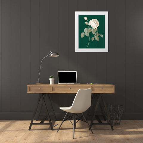 White Roses on Green II White Modern Wood Framed Art Print by Wild Apple Portfolio