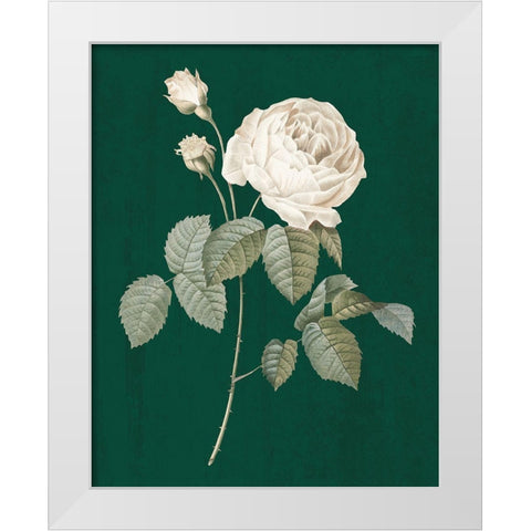 White Roses on Green II White Modern Wood Framed Art Print by Wild Apple Portfolio