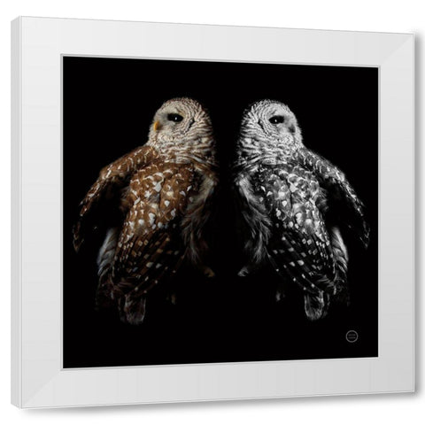 Still a Life White Modern Wood Framed Art Print by Larson, Nathan